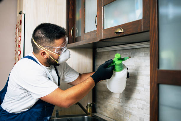 Best Pest Control Near Me in Hidalgo, TX