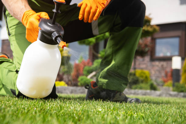 Best Residential Pest Control  in Hidalgo, TX