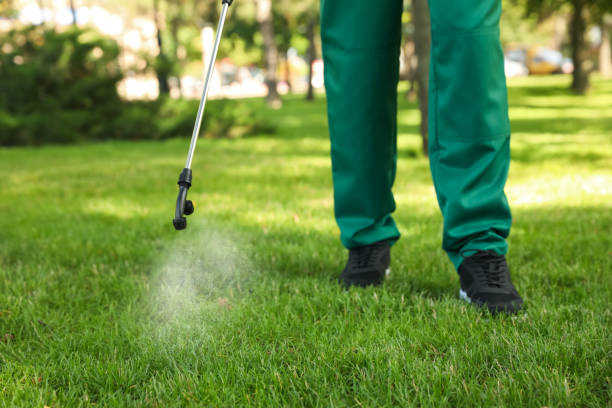 Pest Control Cost in Hidalgo, TX
