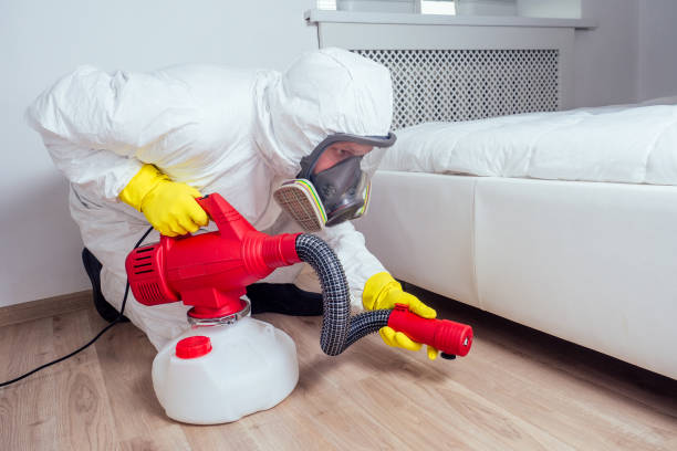 Best Best Pest Control Companies  in Hidalgo, TX