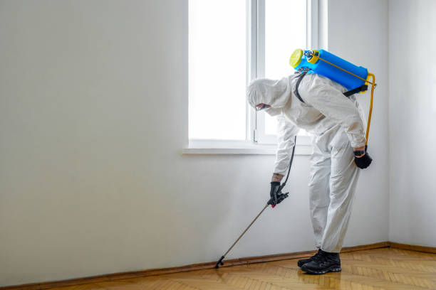 Best Pest Inspection Near Me  in Hidalgo, TX