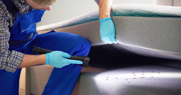 Best Best Pest Control Companies  in Hidalgo, TX