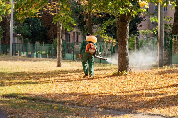 Best Pest Control Near Me  in Hidalgo, TX
